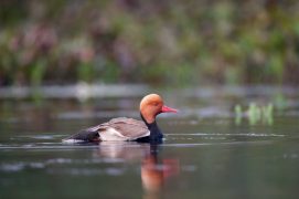 © Thipwan - stock.adobe.com