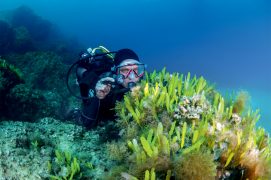 © Mathieu Foulquié