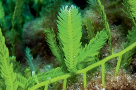 © Mathieu Foulquié