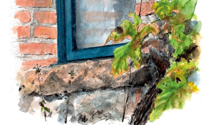 Mille et un squats dans la maison pour les insectes