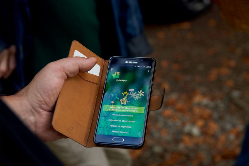 Balade en quête de champignons dans le Jura suisse