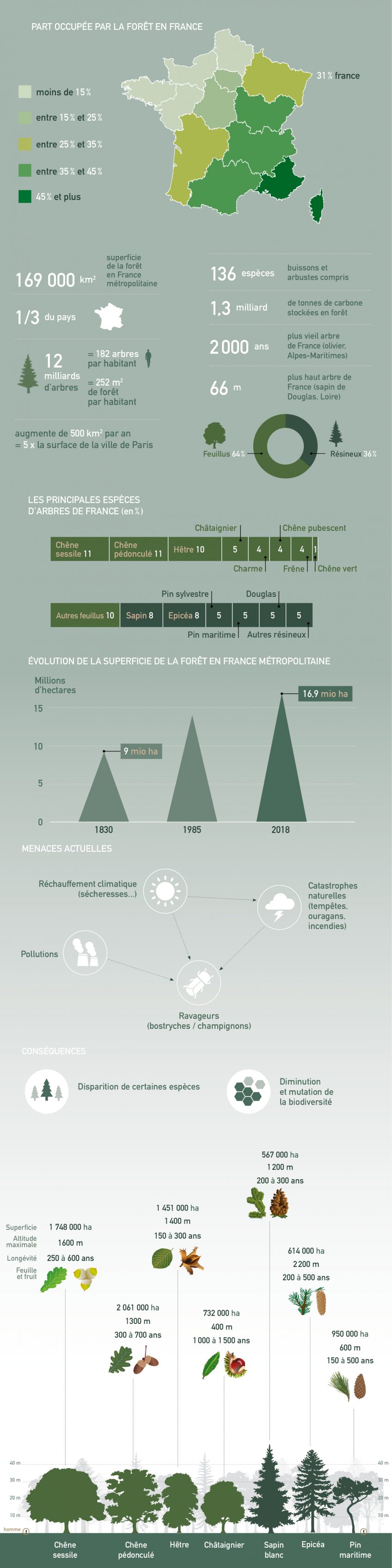 infographie foret france