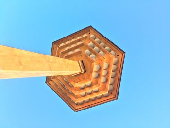 Tour hirondelles Vendredi Vert Salamandre