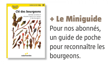 Miniguide 106 Revue Salamandre 261