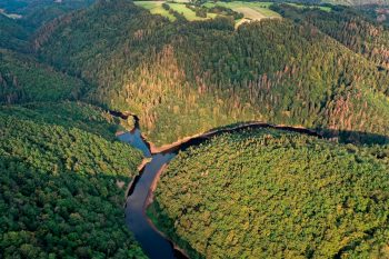 Des vieilles forêts pour la faune et la flore, et pour sensibiliser le public.