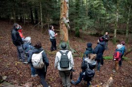 © Régis Delpeuch (CEN Auvergne)