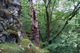 © Emilie Dupuy (CEN Auvergne)