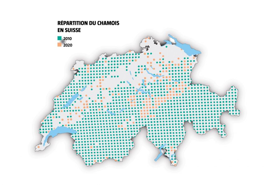Répartition du chamois en suisse