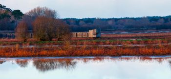 Les nombreux observatoires du marais d’Orx offrent de superbes vues sur les oiseaux.