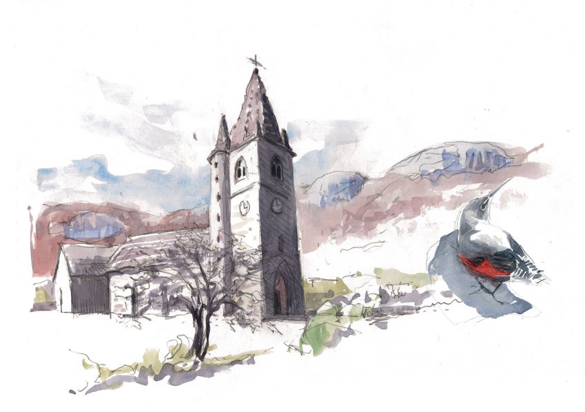 Quand le tichodrome échelette descend de sa montagne