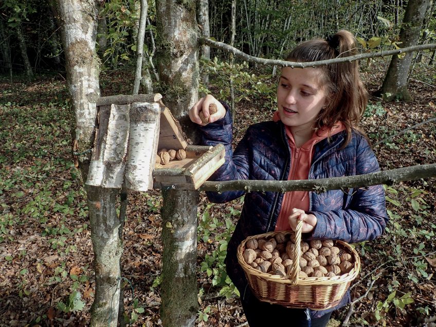 Ouvrez un resto pour l'écureuil dans votre jardin l'hiver