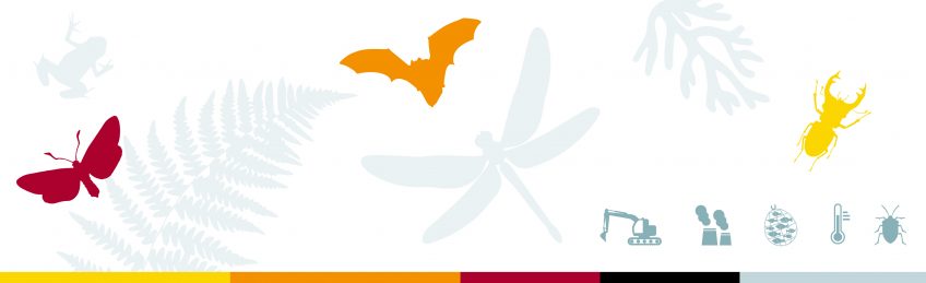 Infographie Liste Rouge