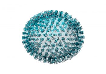 Virus de la grippe Virus, les champions de l’évolution, vrai ou faux en exemples