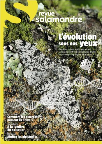 Revue Salamandre 262 L'évolution sous nos yeux