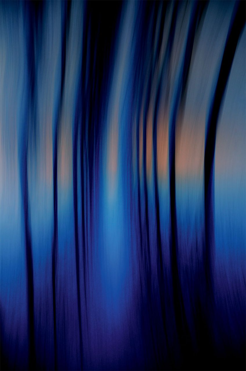 Cathy Bernot, photographe d'art et de nature sublime les paysages