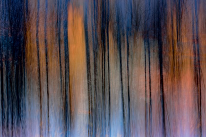 Cathy Bernot, photographe d'art et de nature sublime les paysages