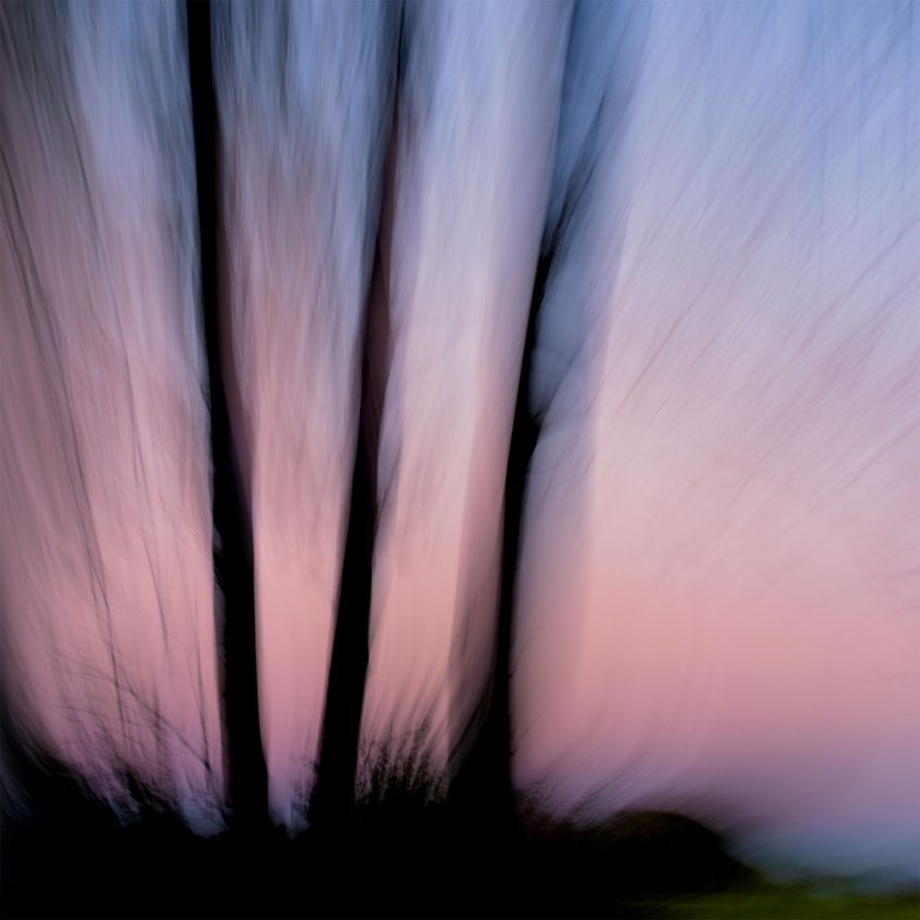 Cathy Bernot, photographe d'art et de nature sublime les paysages