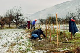 © WWF Suisse / Estela Esteban Gonzalez