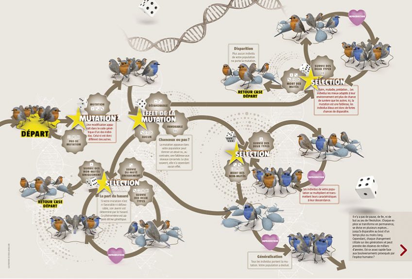 Le grand jeu de hasard de l'évolution