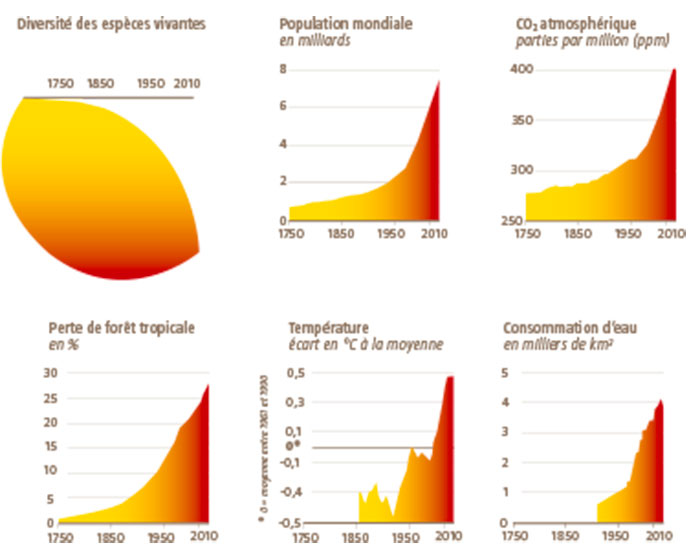 Homo sapiens, responsable de la sixième extinction