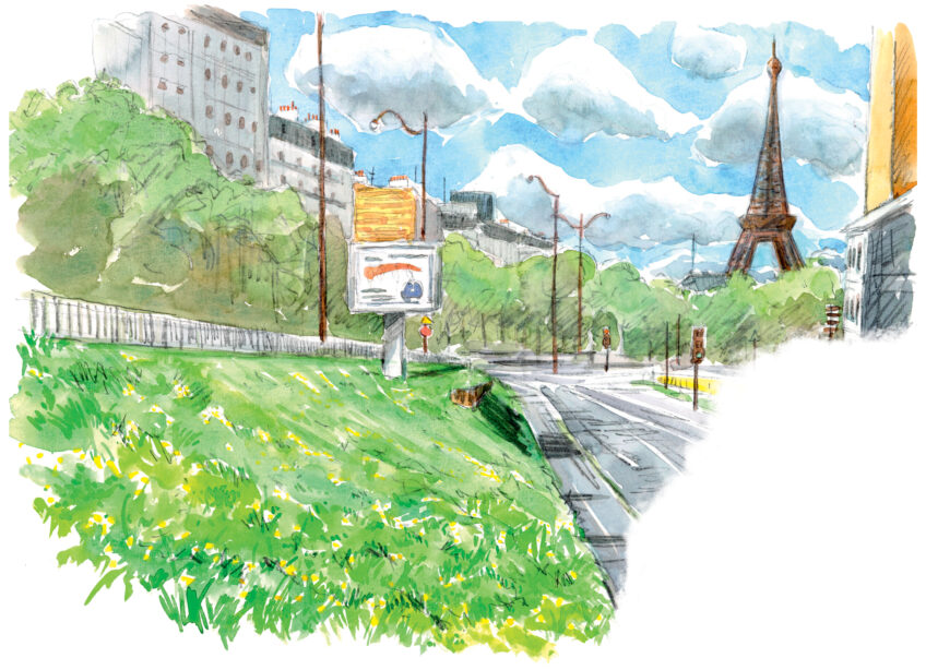 Le confinement a laissé la flore des ville prendre son essor