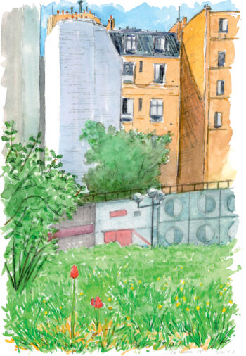 Le confinement a laissé la flore des ville prendre son essor