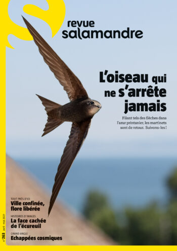Couverture de La Salamandre n°263