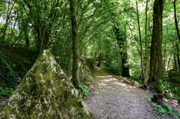 Noisetiers, chênes, charmes, ormes, aulnes, aubépines… Une multitude d’arbres et arbustes bordent le sentier.