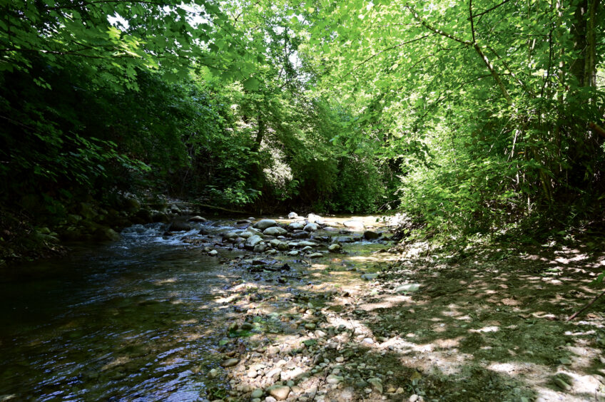 Le sentier suit le cours du ruisseau de
la Combe puis de la Serine. Le sentier suit le cours du ruisseau de la Combe puis de la Serine.