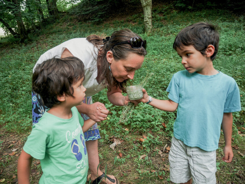 Préparez votre sel aux herbes