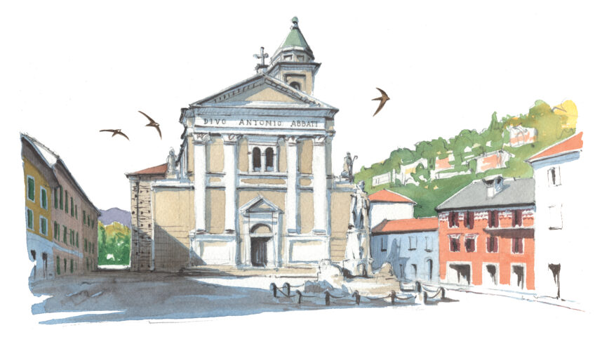 Martinets pâles : la colonie la plus nordique à Locarno, dans le Tessin