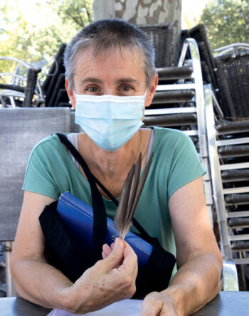 Plumes de martinet à ventre blanc