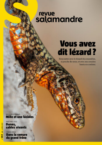 Couverture de La Salamandre n°264
