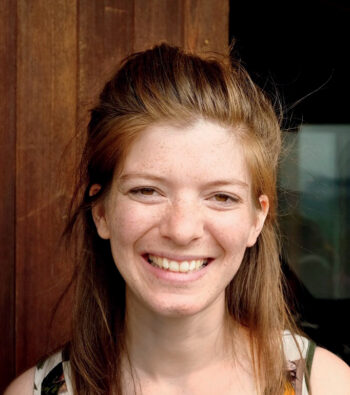 comment insectes marchent plafond