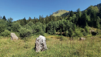 A deux pas du Moléson, étang et crêtes rocheuses se parent d’une multitude de fleurs colorées.