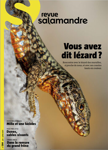 Revue Salamandre 264 lézard