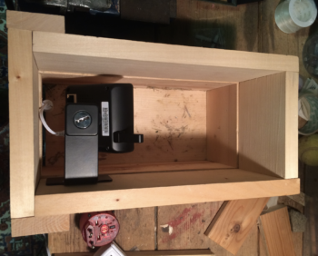 webcam nichoir martinet