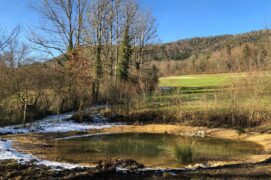 L'étang de Soulce fraîchement rénové. / © Olivier Lovis