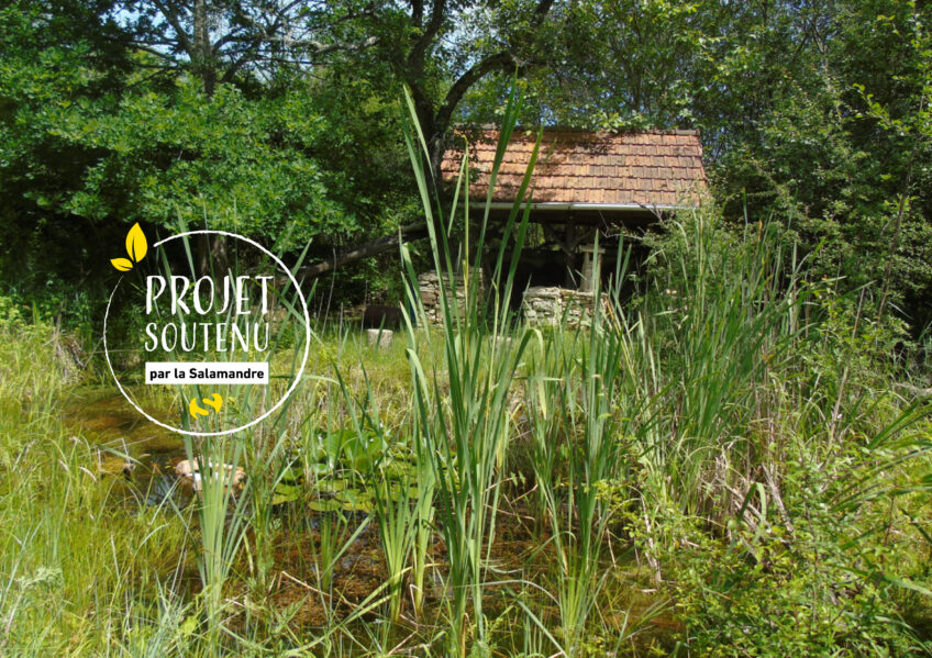 Projet nature Adater Allier La Salamandre