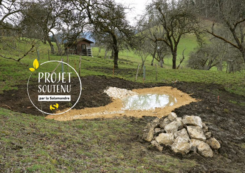 Mare pour amphibiens aux Enfers, Jura, Suisse La Salamandre