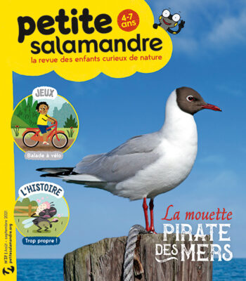 Couverture de La Petite Salamandre n°37