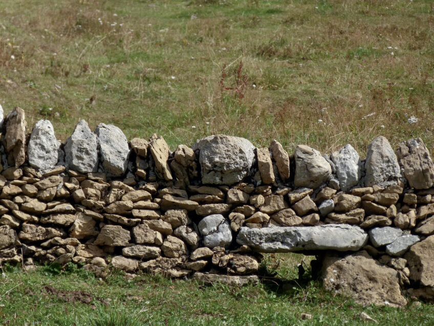 Des passages dans les murs de pierres sèches facilitent les déplacements de la faune. Fourmis, découvrez les fourmilières géantes du Jura suisse