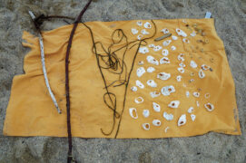 Récupérez algues, morceaux de bois et coquillages en explorant la plage.