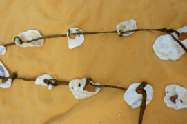 Nouez les coquillages sur les algues à intervalle de 4-5 cm. Formez six guirlandes de longueurs différentes.