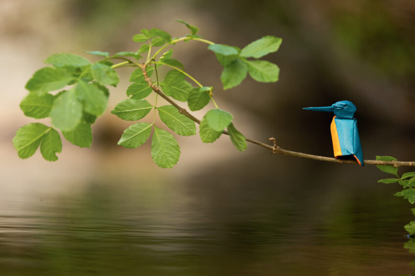 Origamis : des oiseaux de papiers dans leur environnement