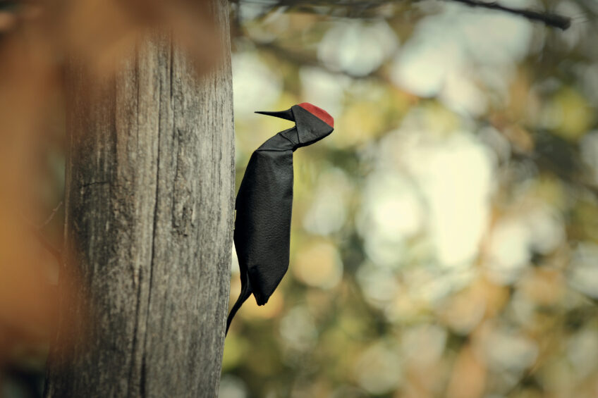 Pic noir h 20 cm, plié à partir d’un carré de 20 cm de côté
peinture acrylique noire sur une face et aquarelle rouge sur l’autre, papier Arches - grain torchon - 185 g/m² Origamis : des oiseaux de papiers dans leur environnement