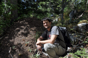 Fourmis, découvrez les fourmilières géantes du Jura suisse