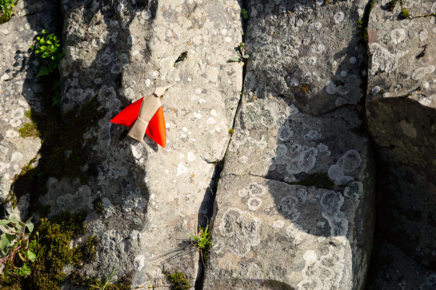 Tichodrome échelette h 15 cm, plié à partir d’un carré de 20 cm de côté
peinture acrylique rouge sur une face et aquarelle grise sur l’autre, papier Arches - grain torchon - 185 g/m² Origamis : des oiseaux de papiers dans leur environnement
