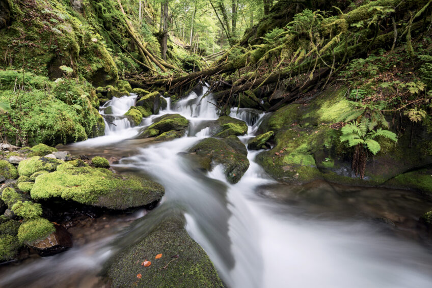 Torrent de Haute-Savoie Eau : la photographe Jessica Buczek immortalise les rivières