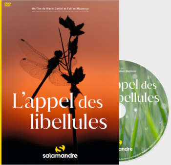 DVD L'appel des libellules